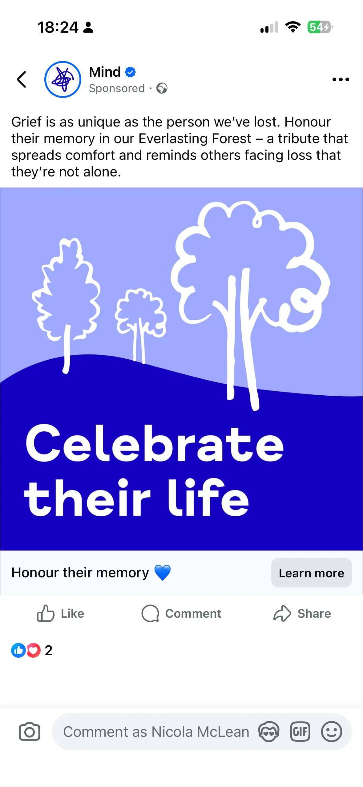 Descriptive text for the image