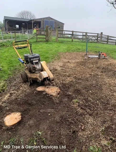 Stump grinding image