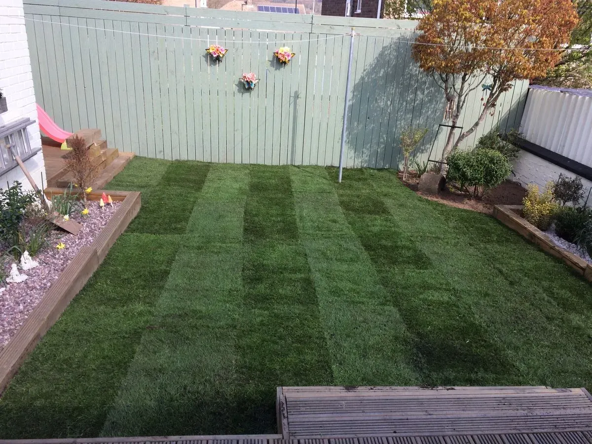 Turfing and seeding image