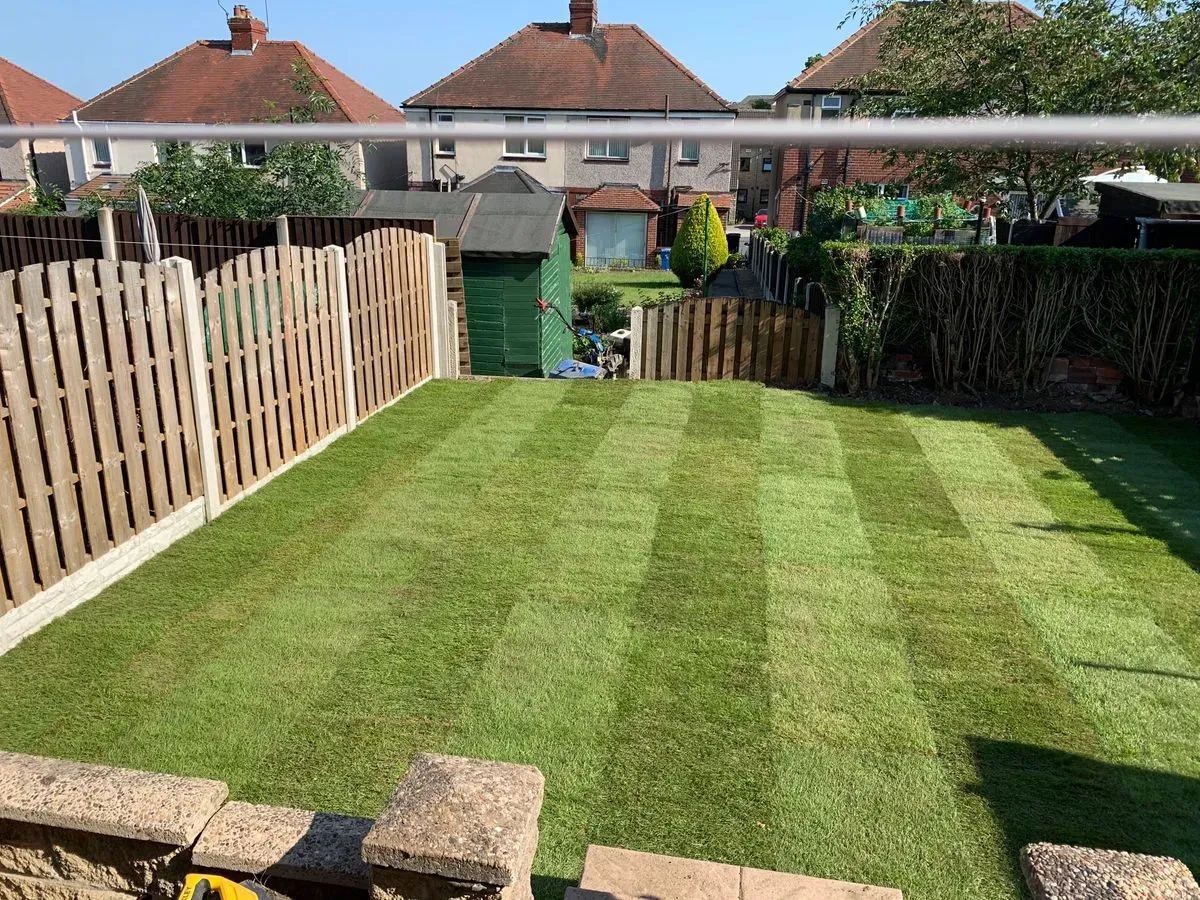 Lawn mowing image