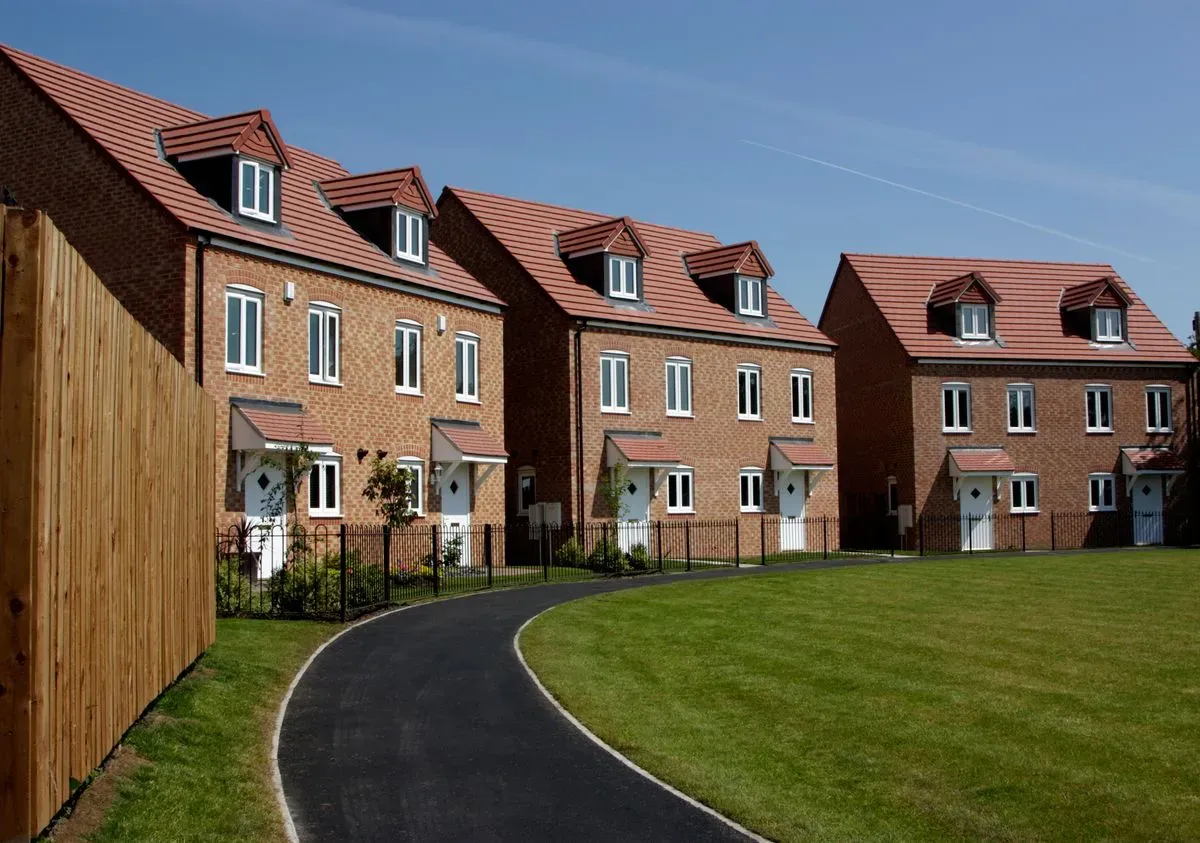 Expert Determination Support image background image