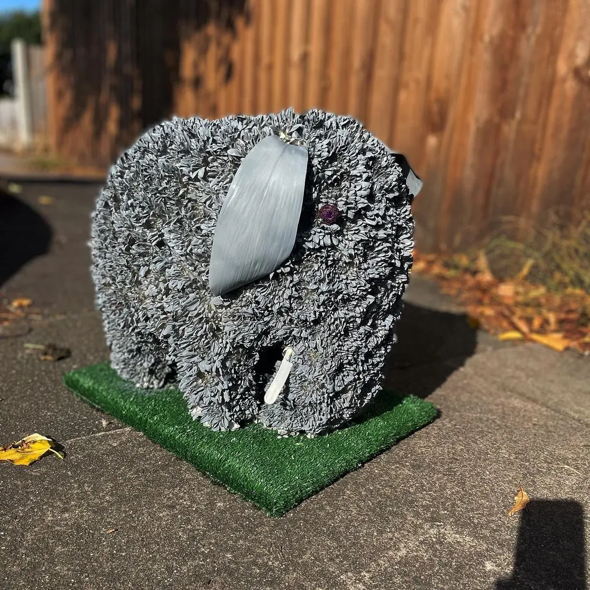 Descriptive text for the image