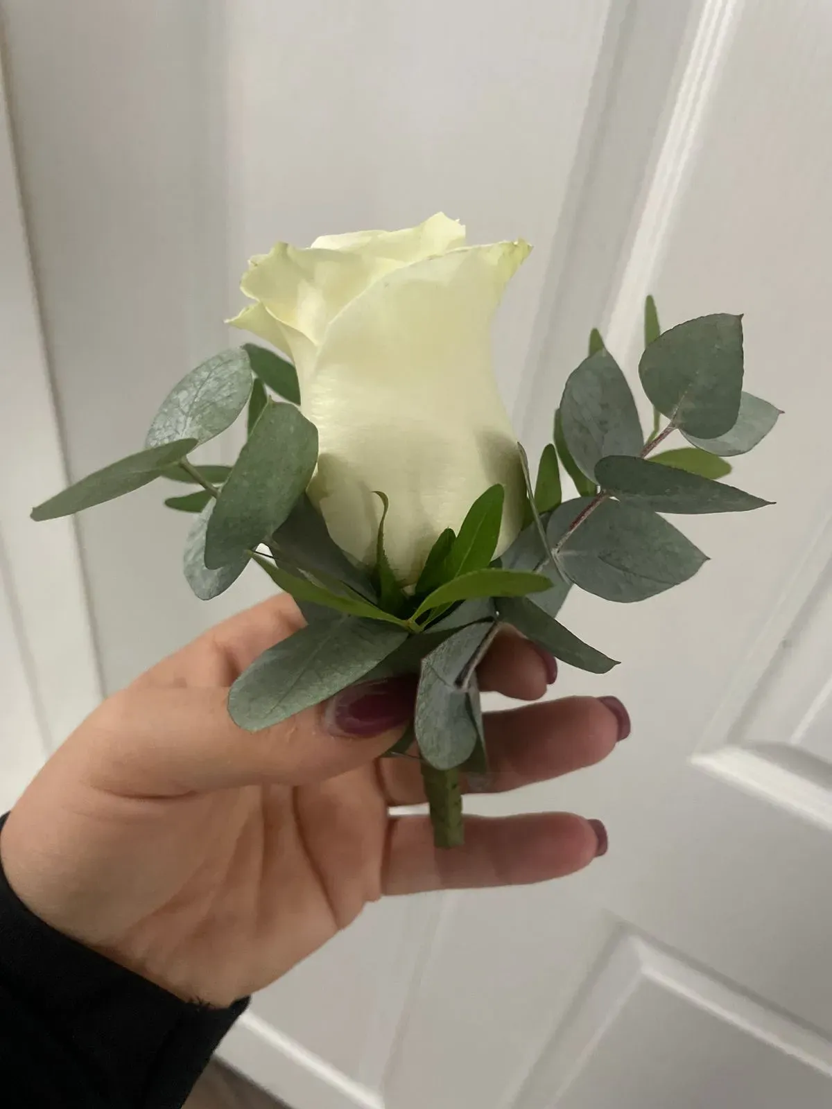 Descriptive text for the image