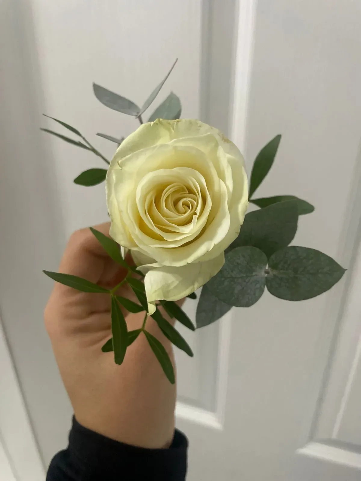 Descriptive text for the image