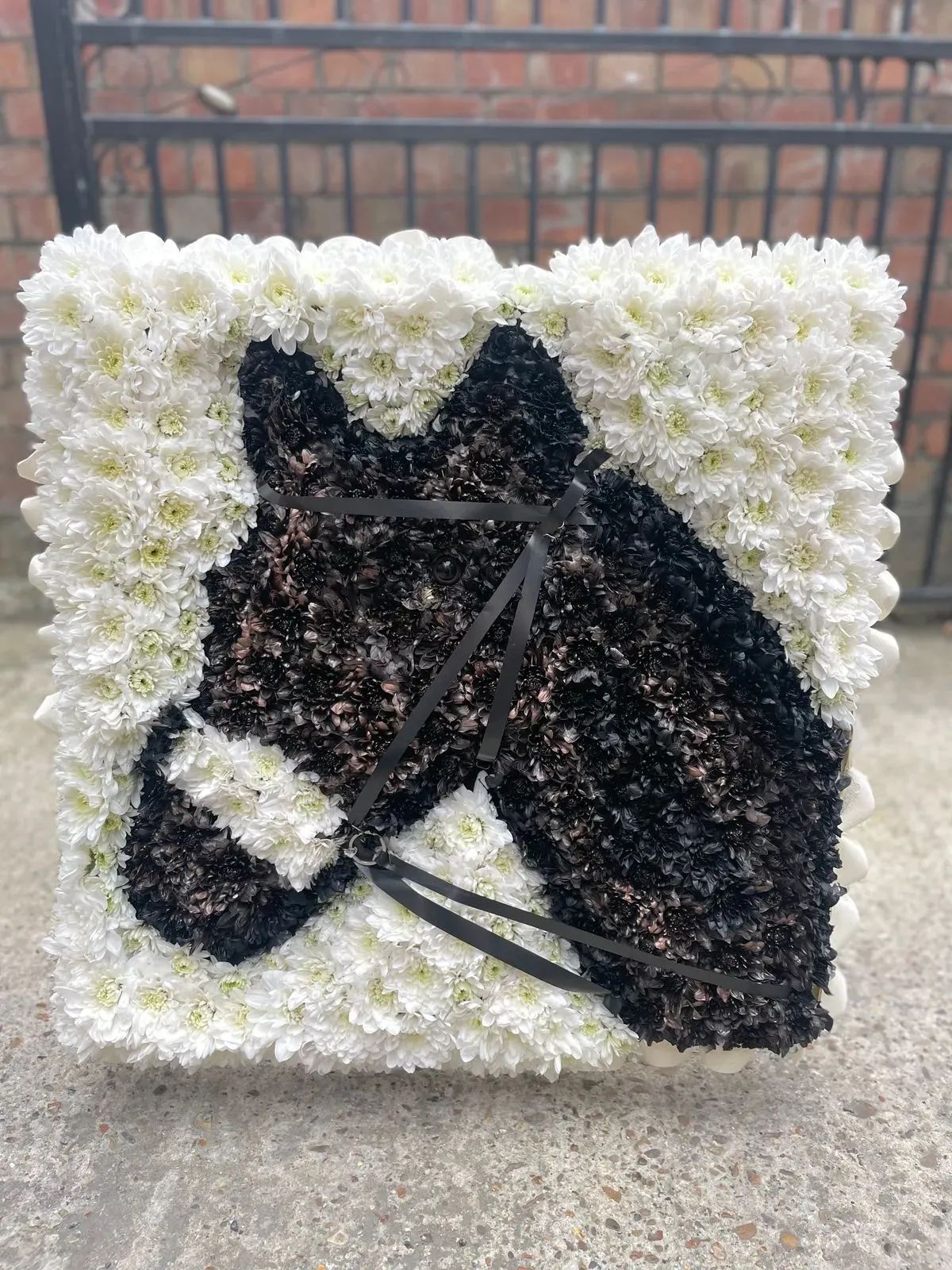 Descriptive text for the image