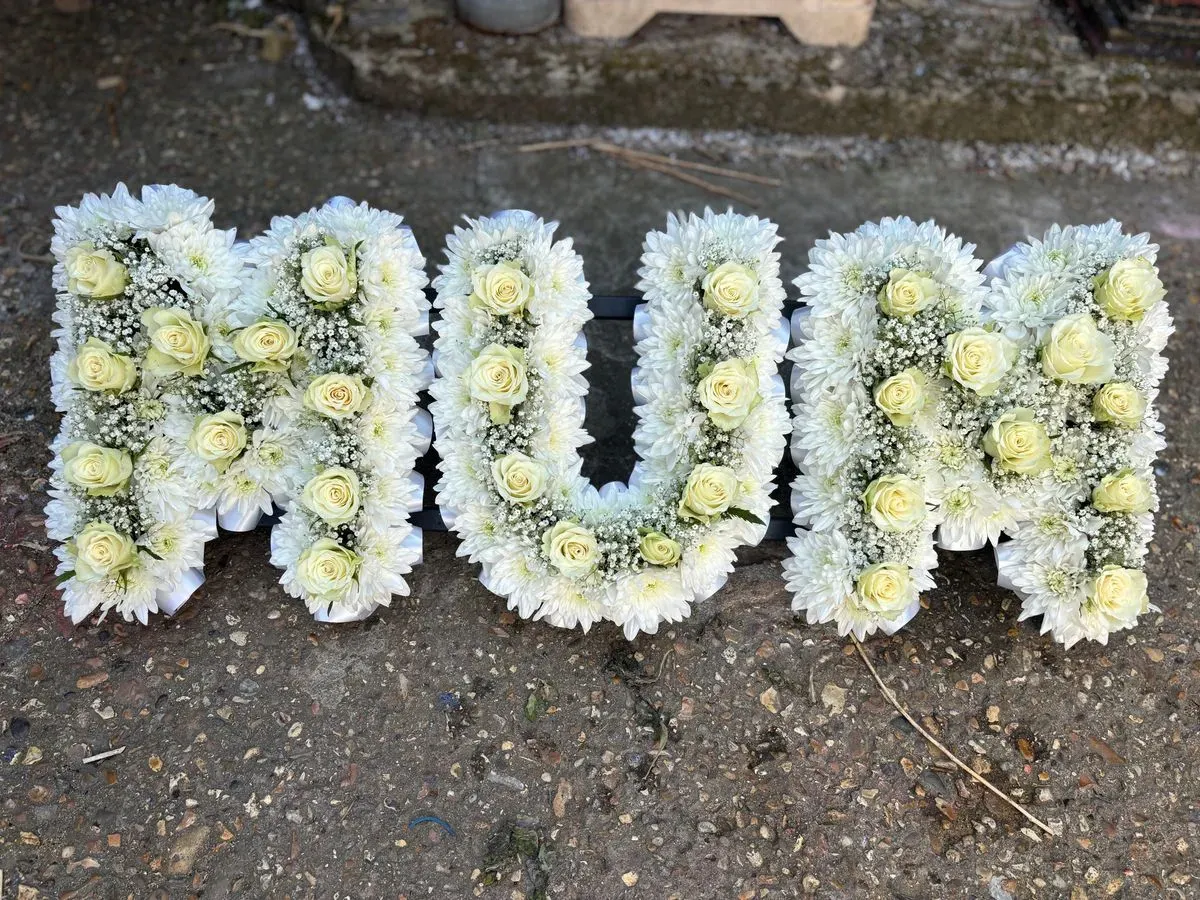 Descriptive text for the image