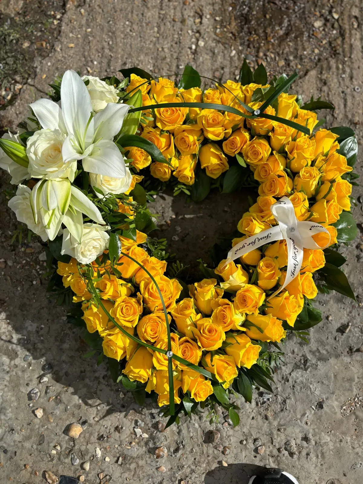 Descriptive text for the image