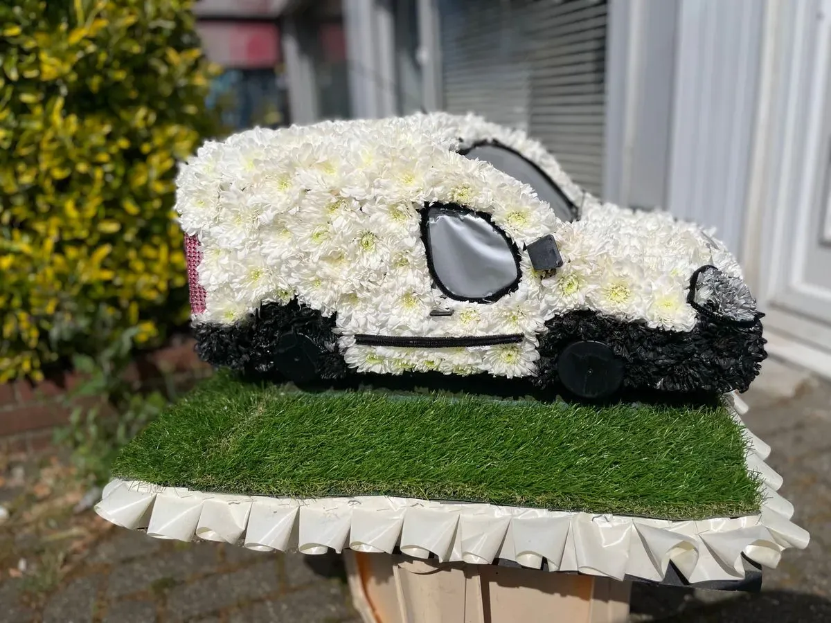 Descriptive text for the image