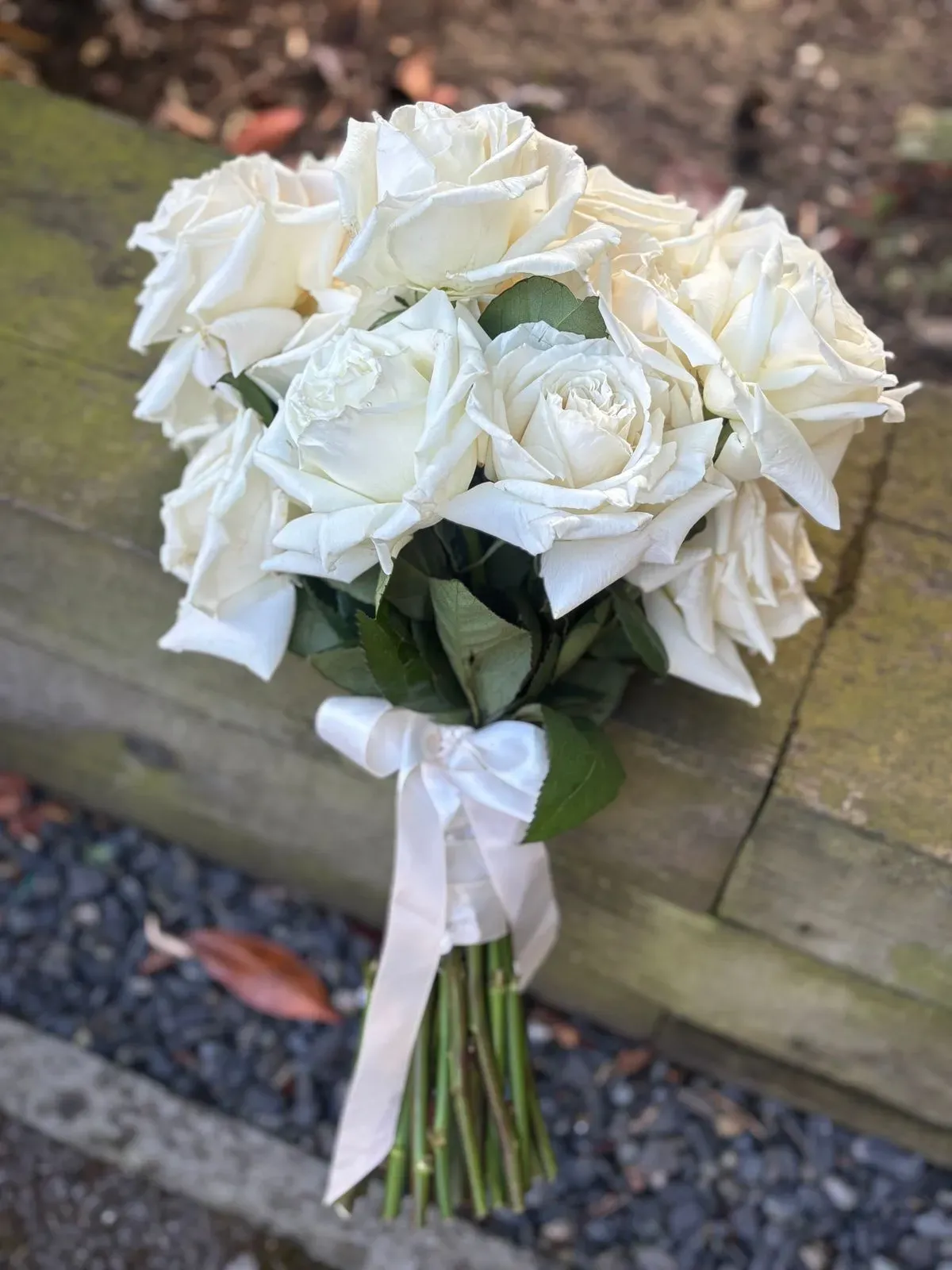 Descriptive text for the image