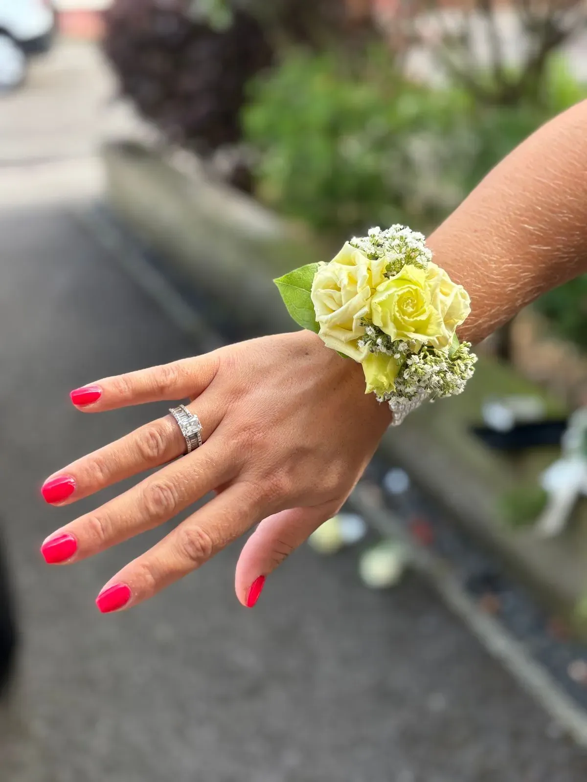 Descriptive text for the image