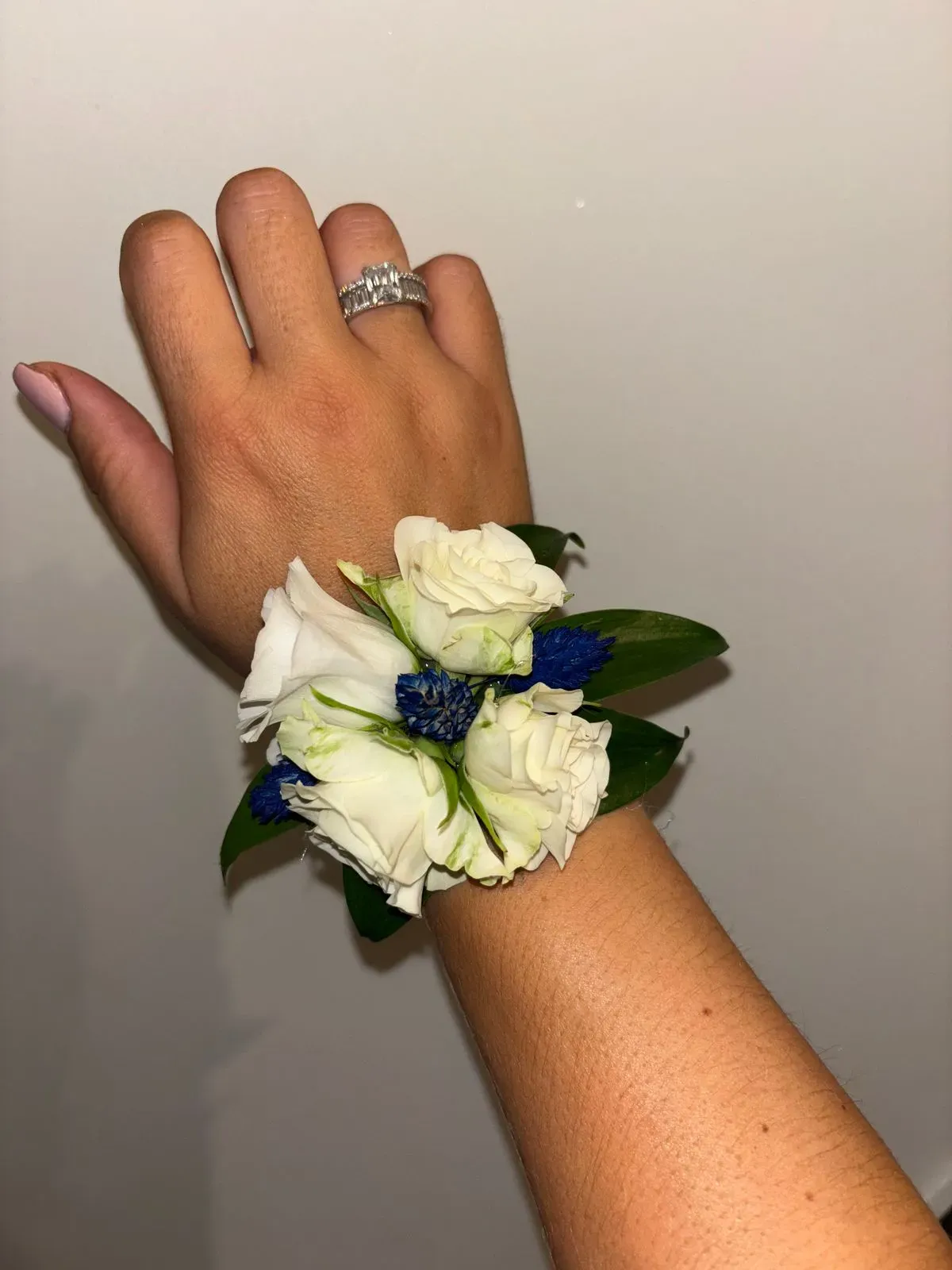 Descriptive text for the image