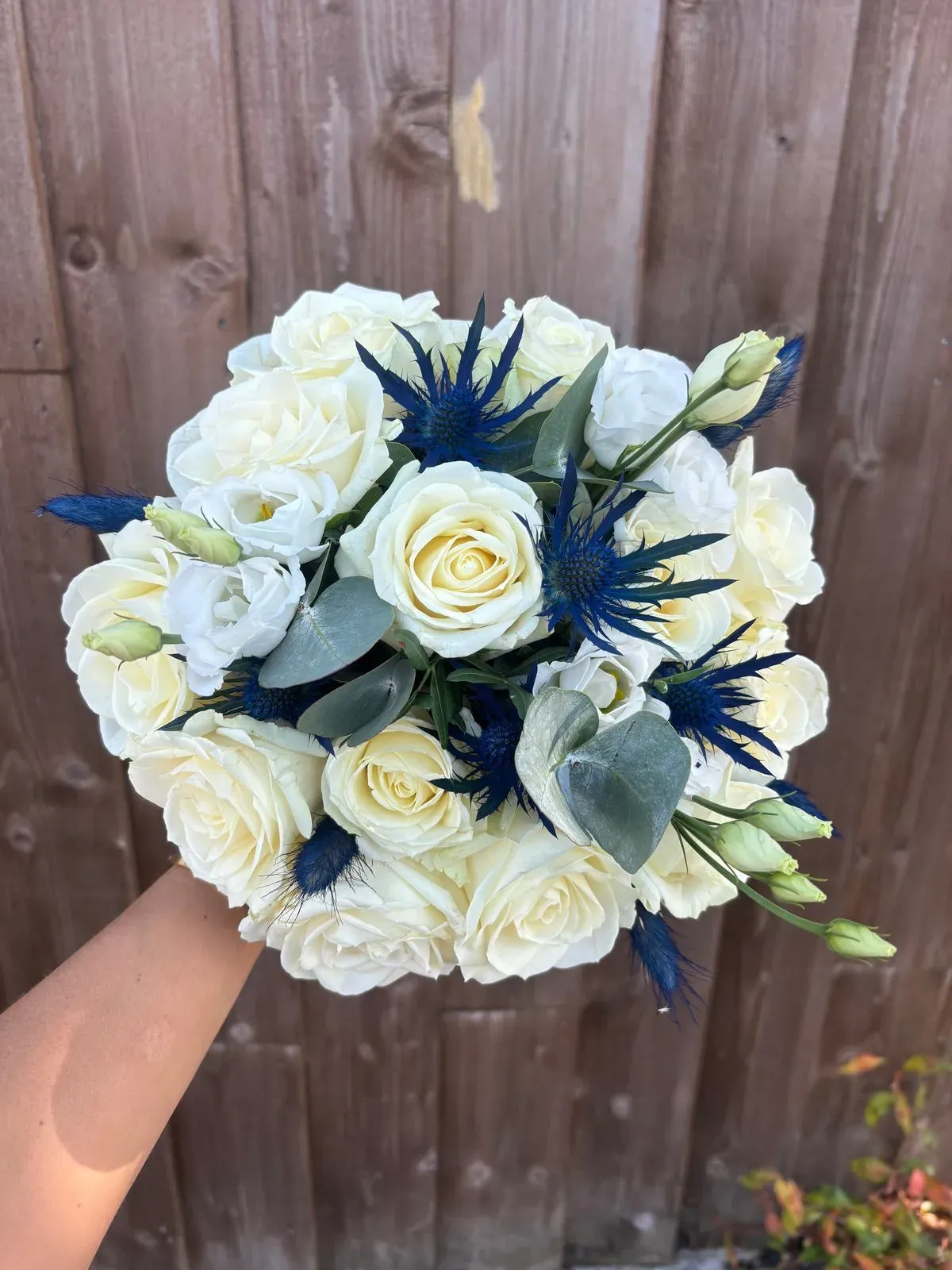 Descriptive text for the image