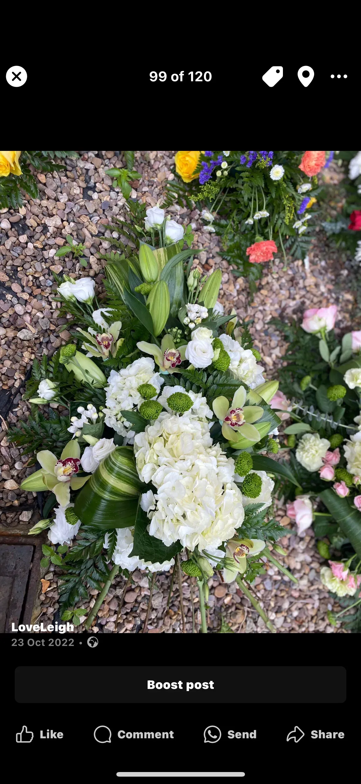 Descriptive text for the image