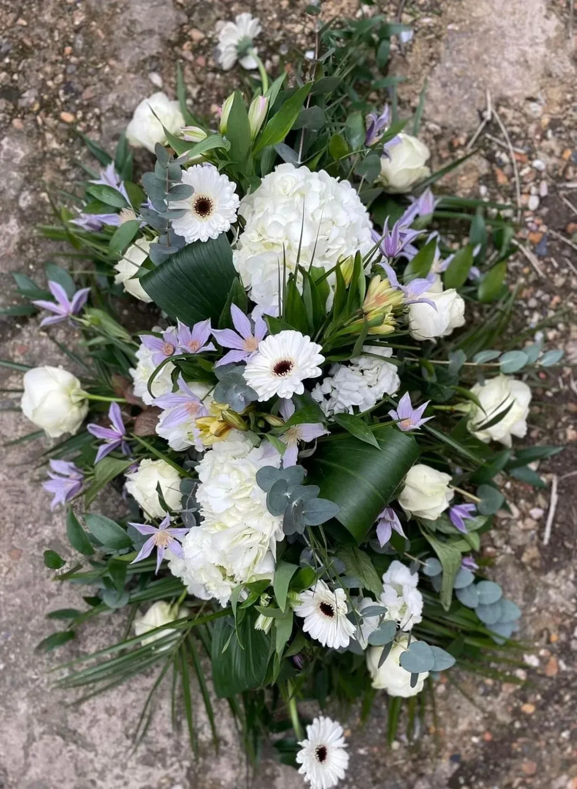 Descriptive text for the image