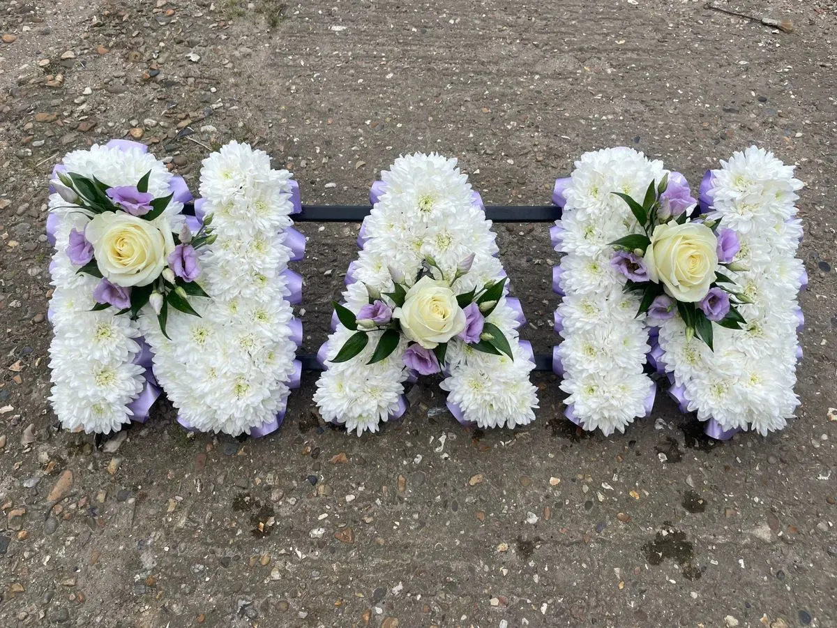 Descriptive text for the image