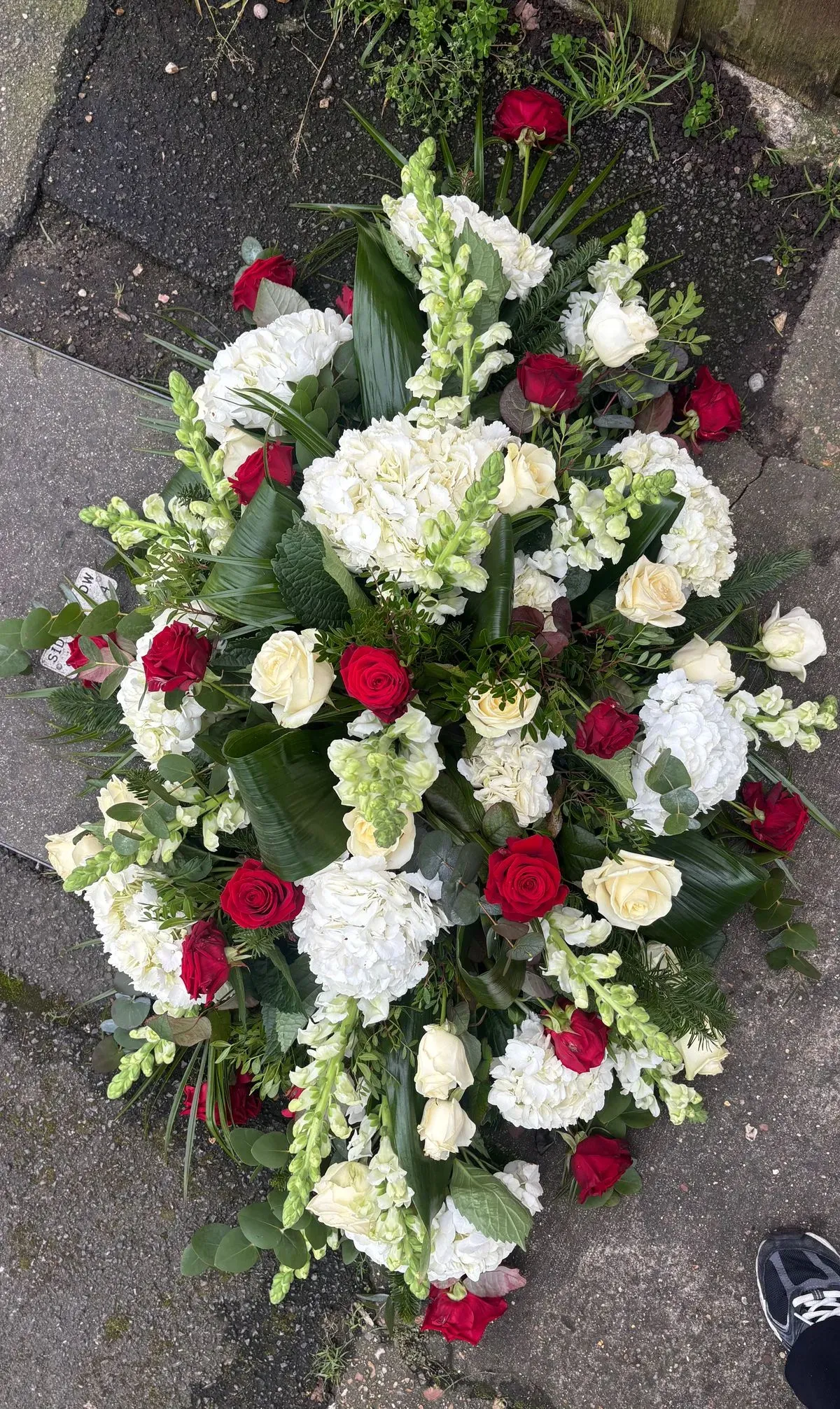 Descriptive text for the image