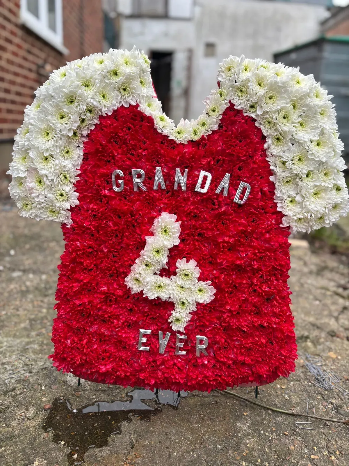 Descriptive text for the image