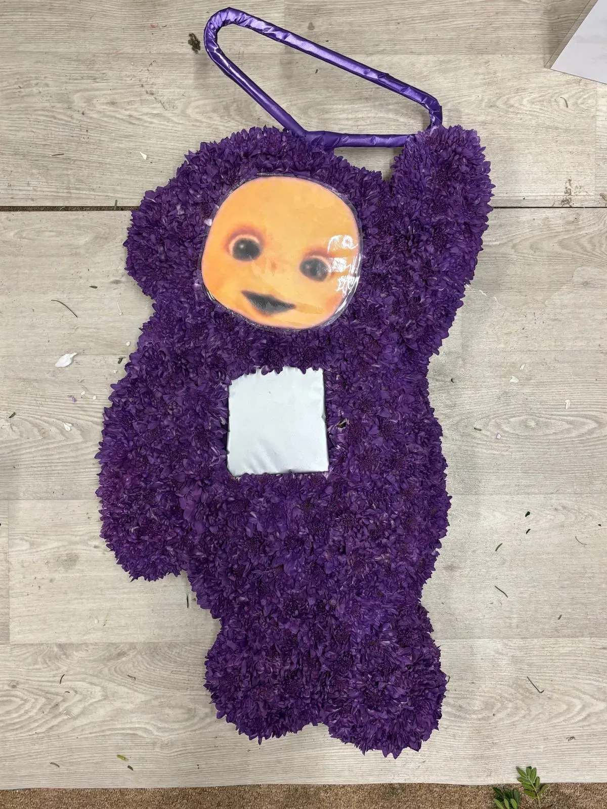 Descriptive text for the image