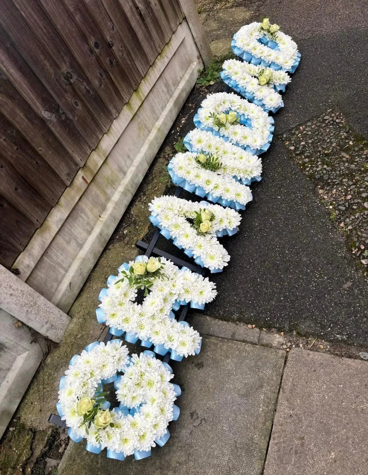 Descriptive text for the image