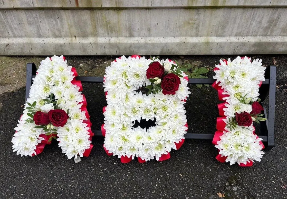 Descriptive text for the image