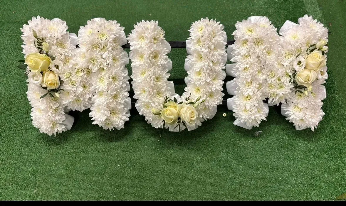 Descriptive text for the image