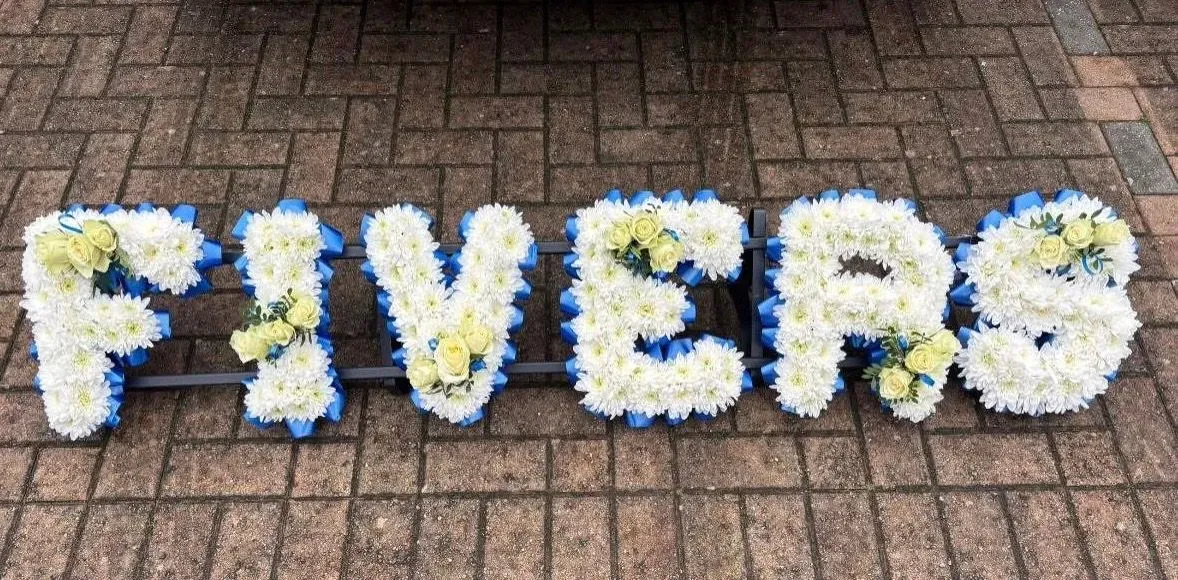 Descriptive text for the image