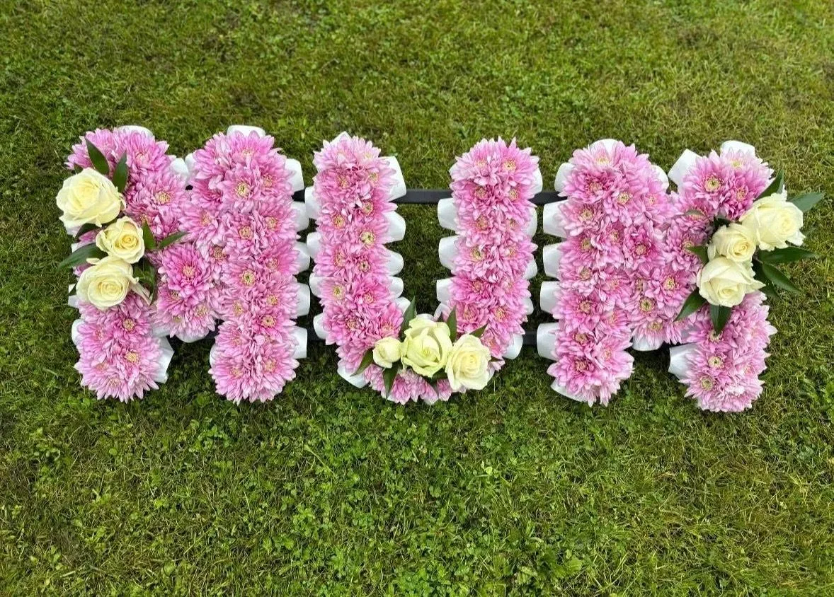 Descriptive text for the image