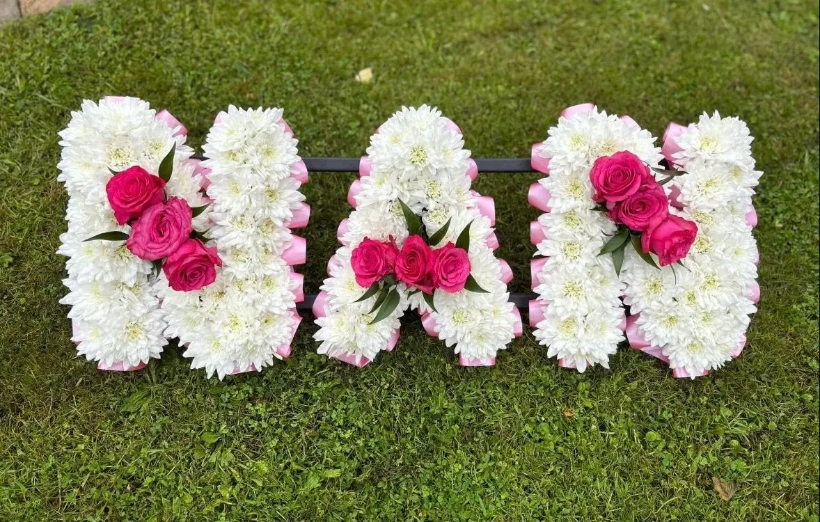 Descriptive text for the image