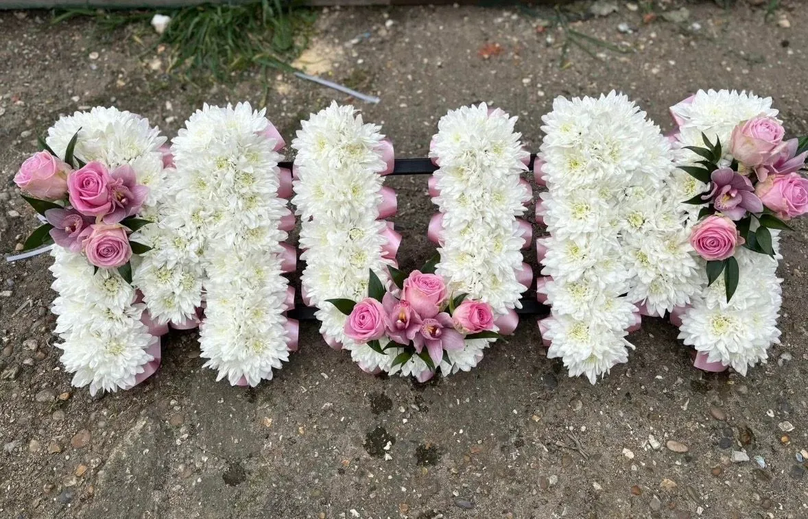 Descriptive text for the image