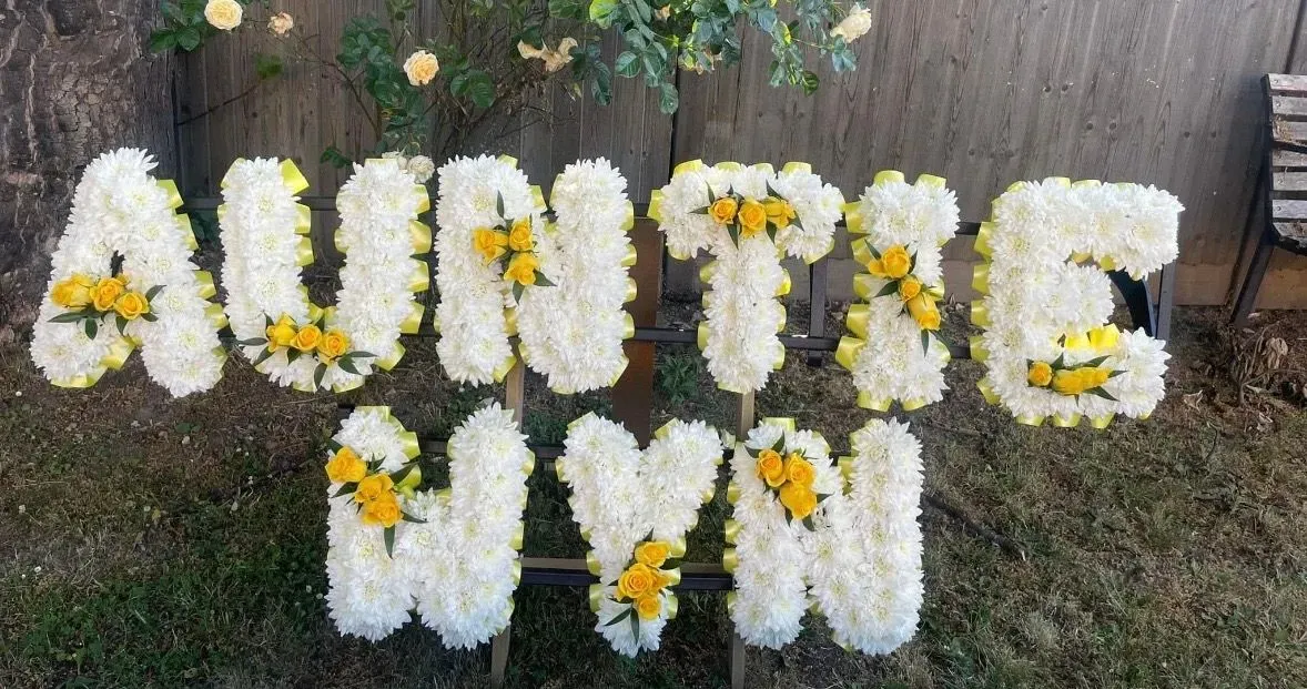 Descriptive text for the image