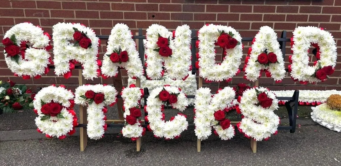 Descriptive text for the image