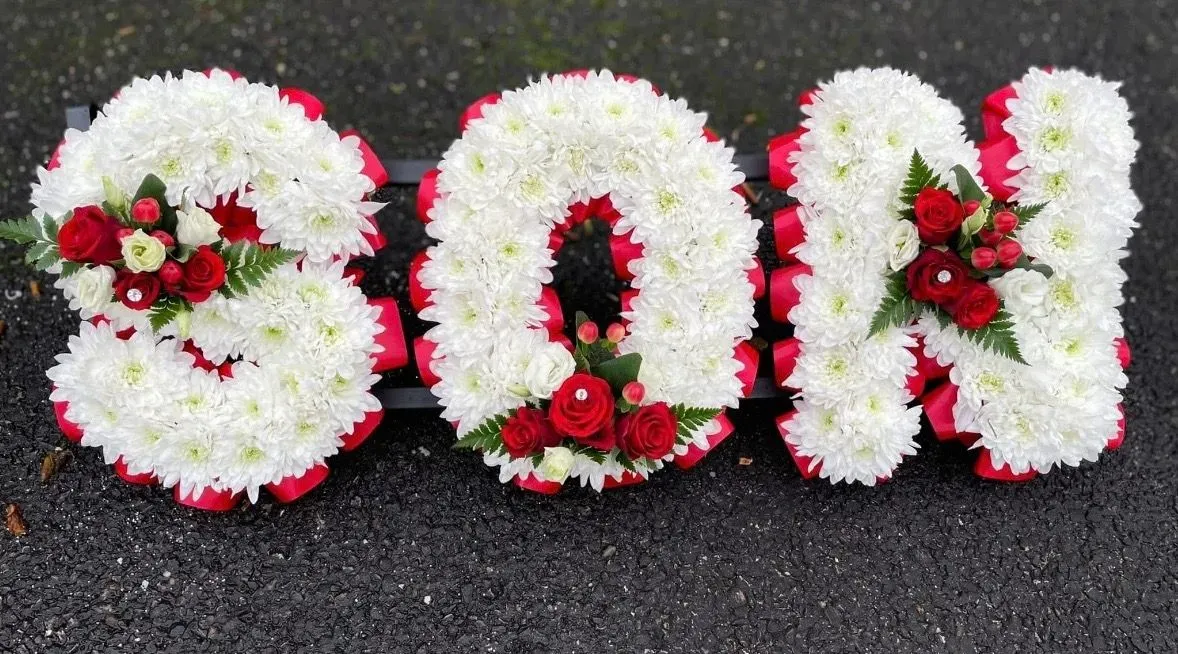 Descriptive text for the image