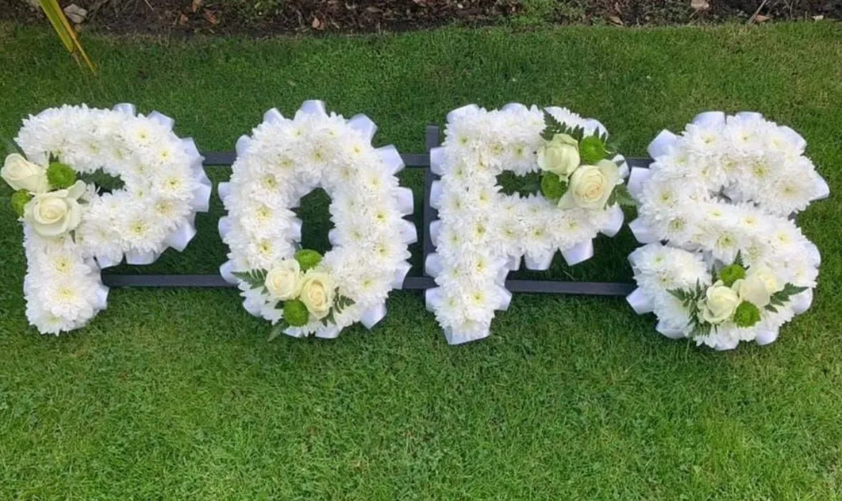 Descriptive text for the image