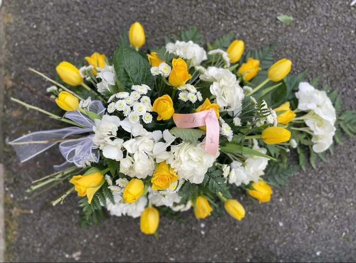 Descriptive text for the image