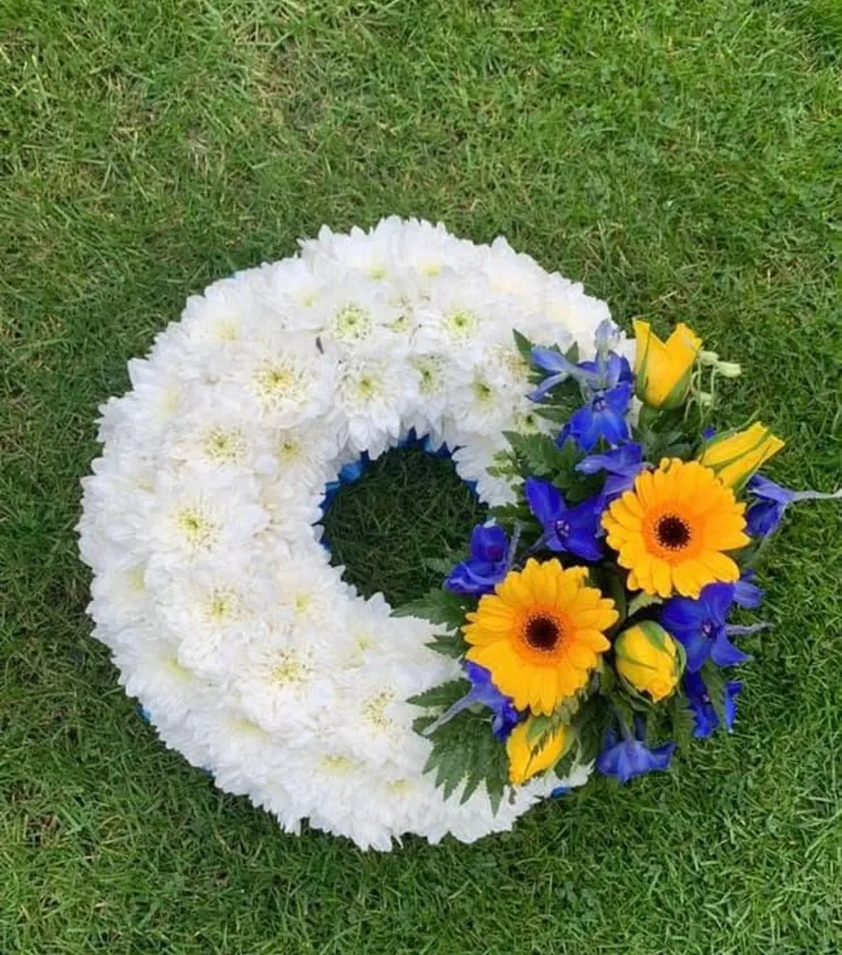 Descriptive text for the image