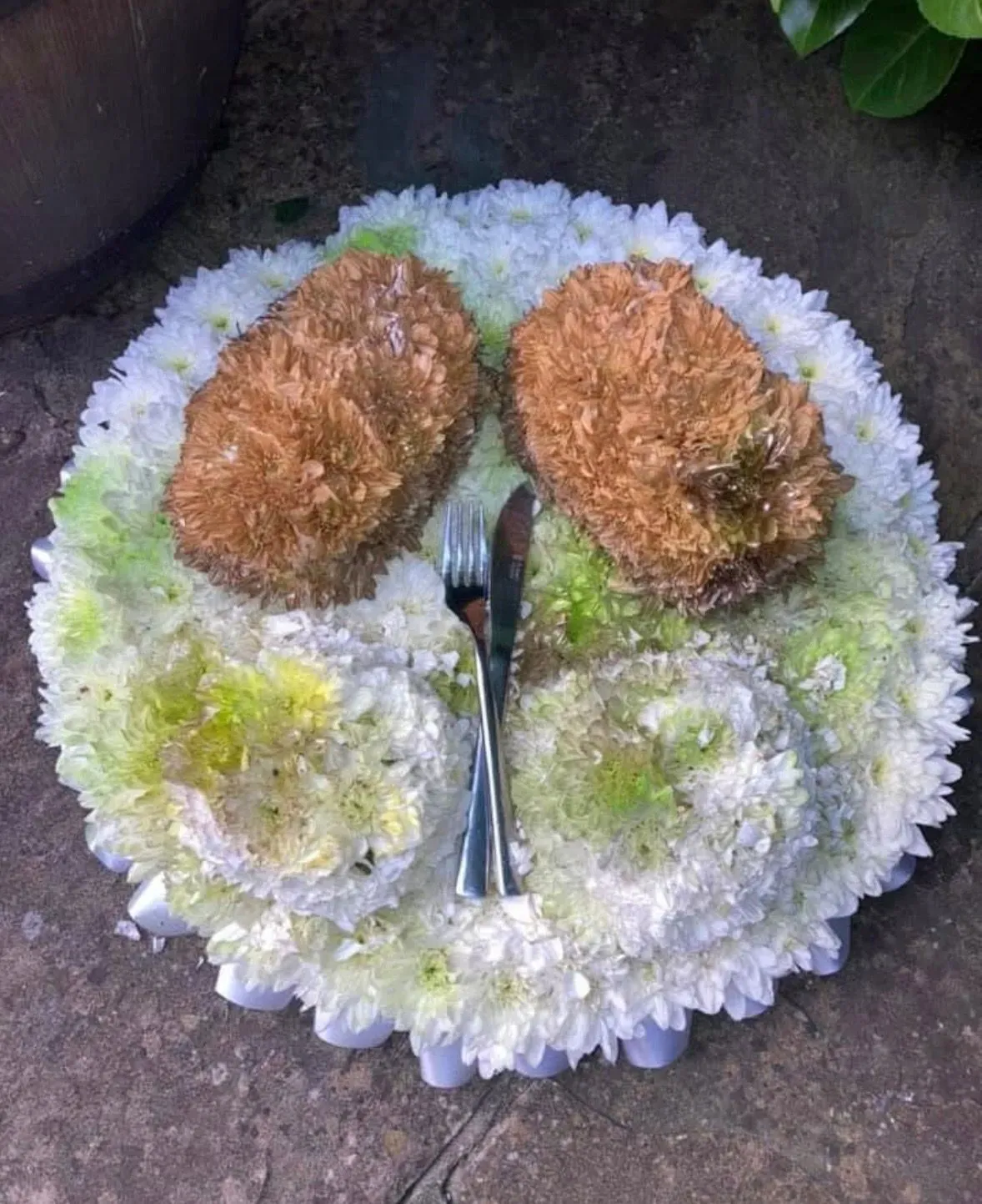 Descriptive text for the image