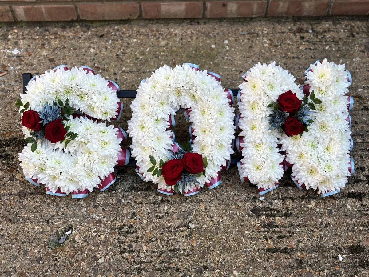 Descriptive text for the image