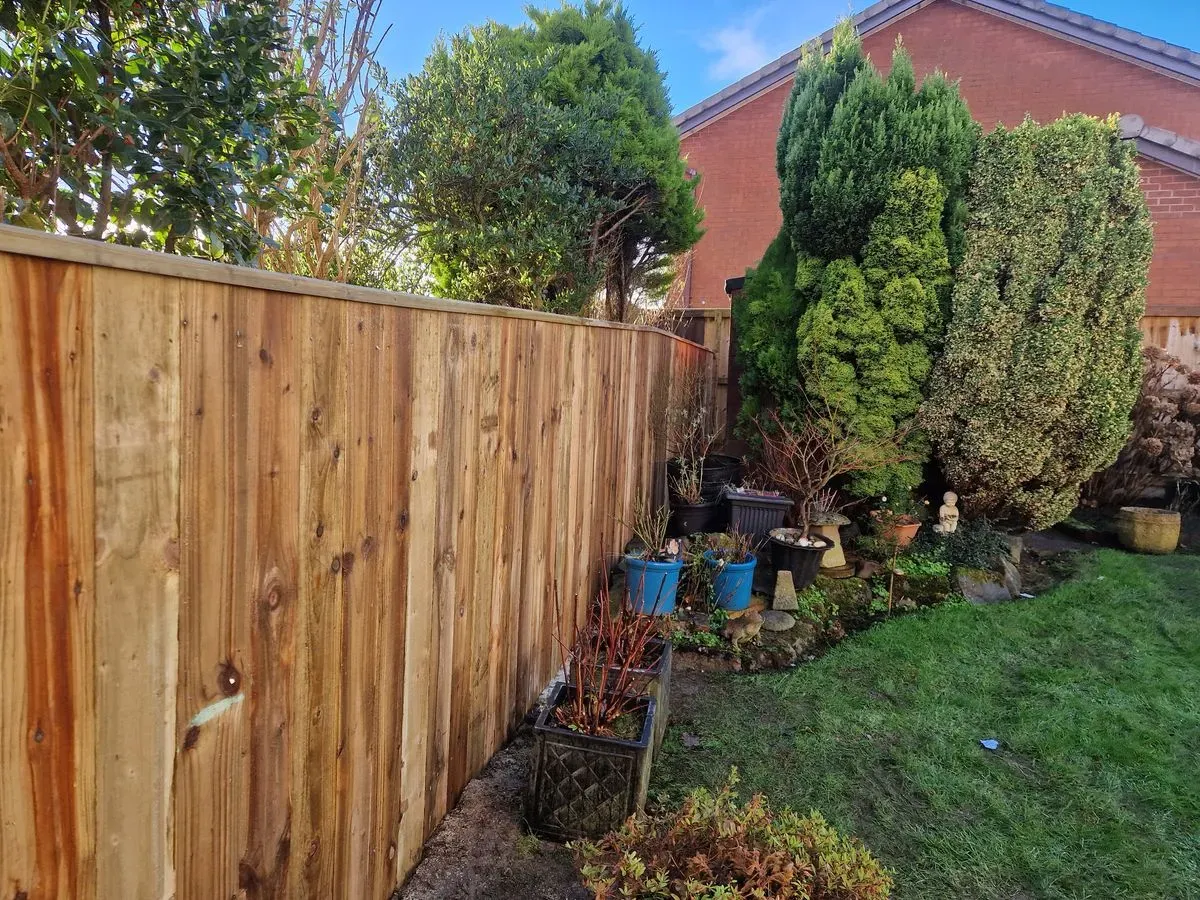 Fencing repair and maintenance image background image