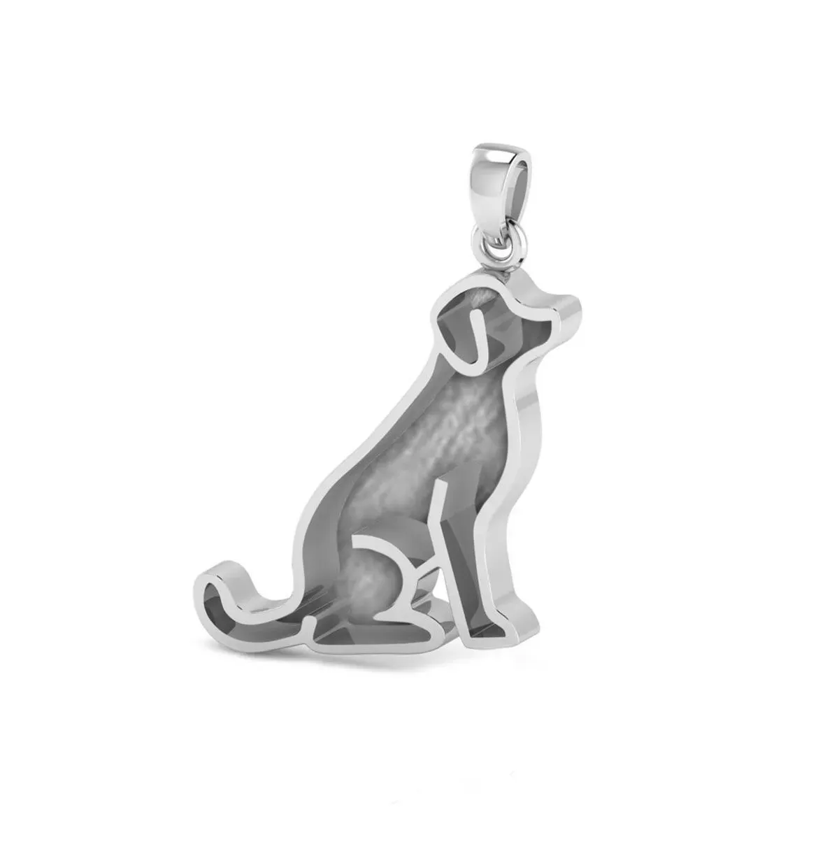 Dog1 (1) thumbnail image
