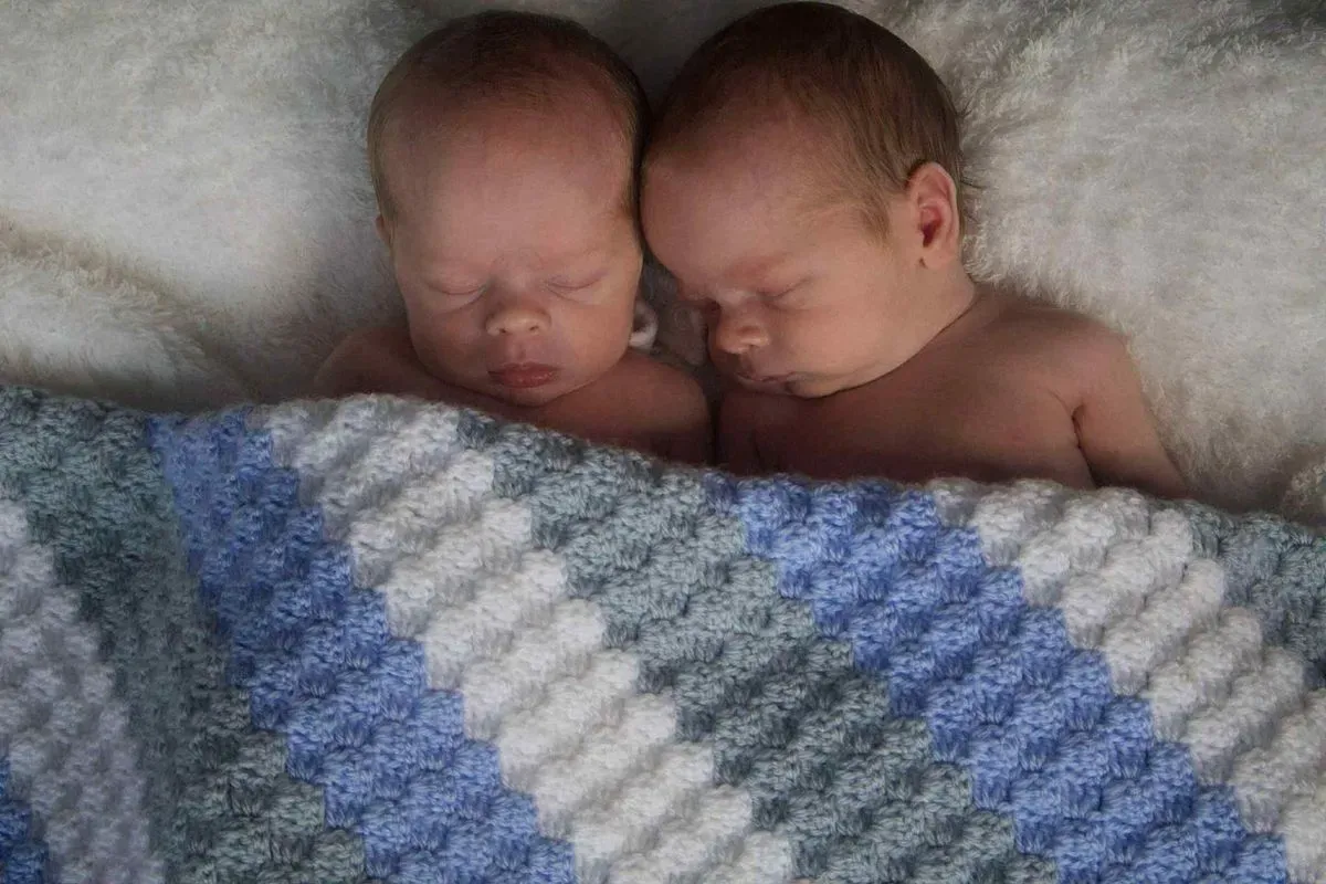 Descriptive text for the image