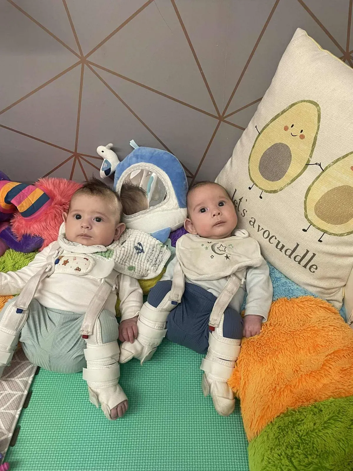 Descriptive text for the image