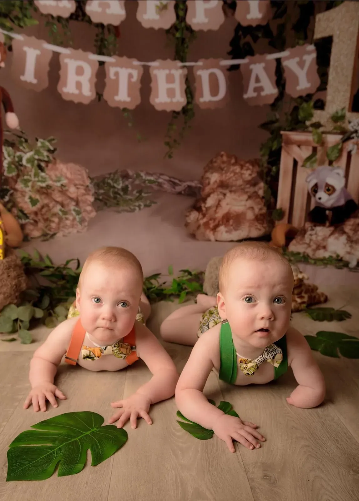 Descriptive text for the image