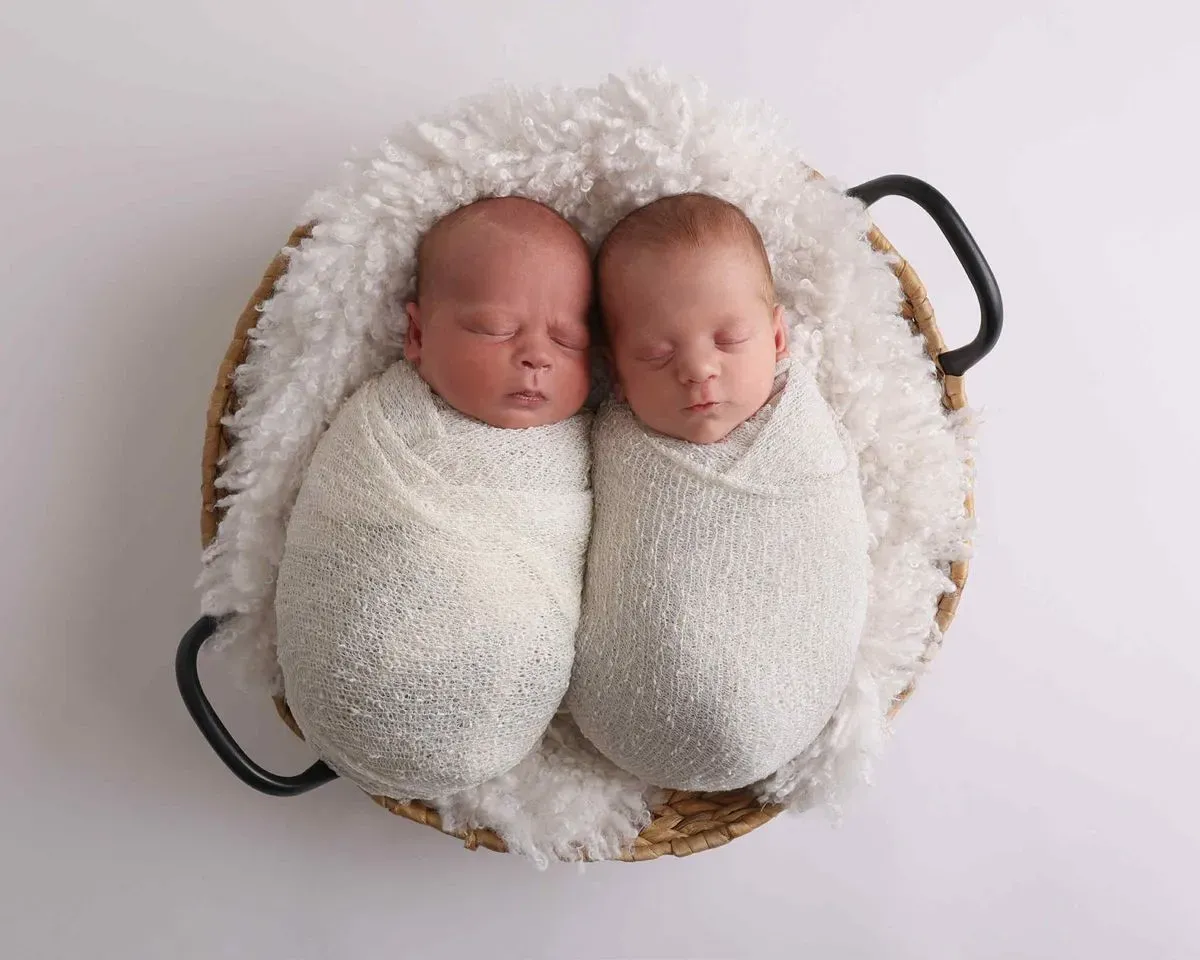 Descriptive text for the image