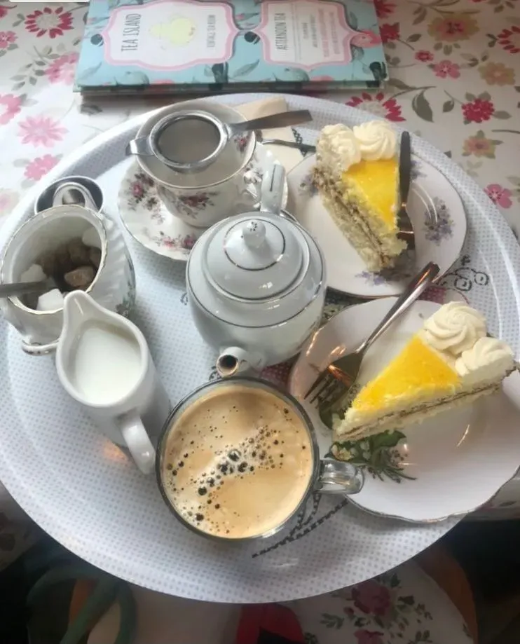 Descriptive text for the image