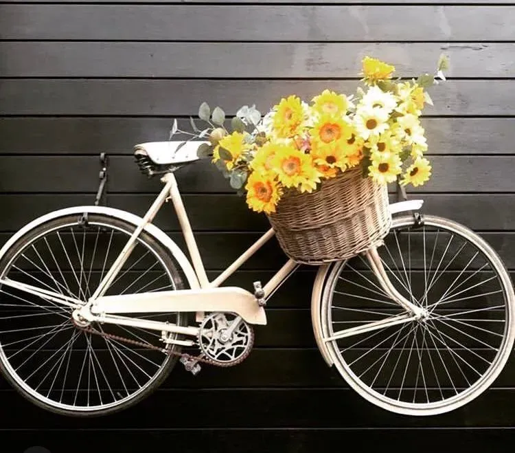 Descriptive text for the image