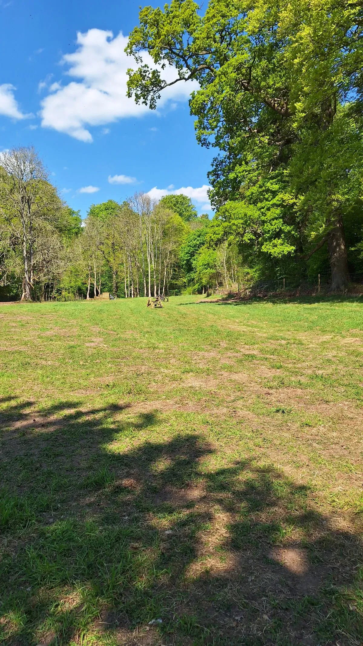 Dog park image background image
