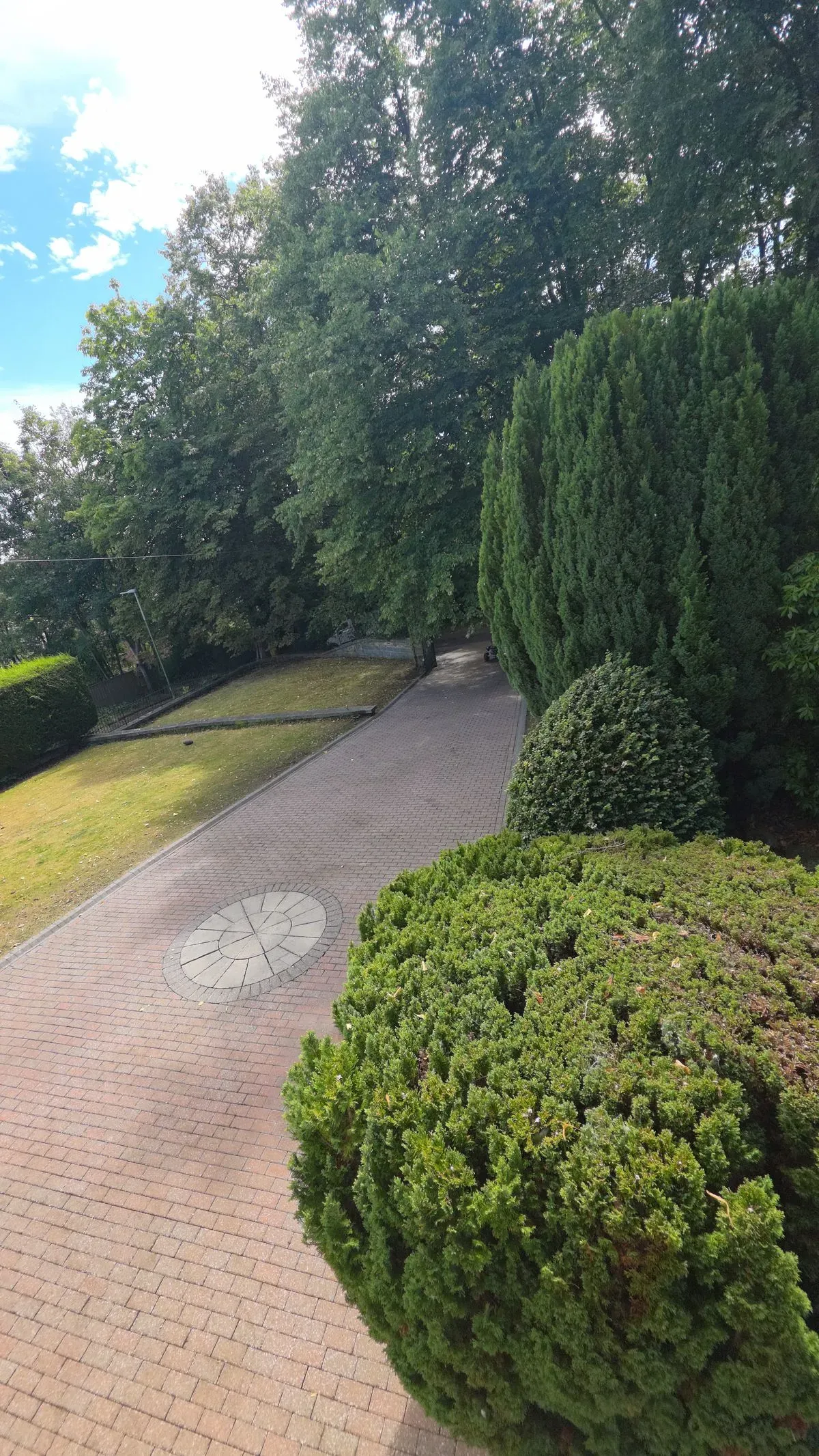 Patio and Driveway Cleaning
