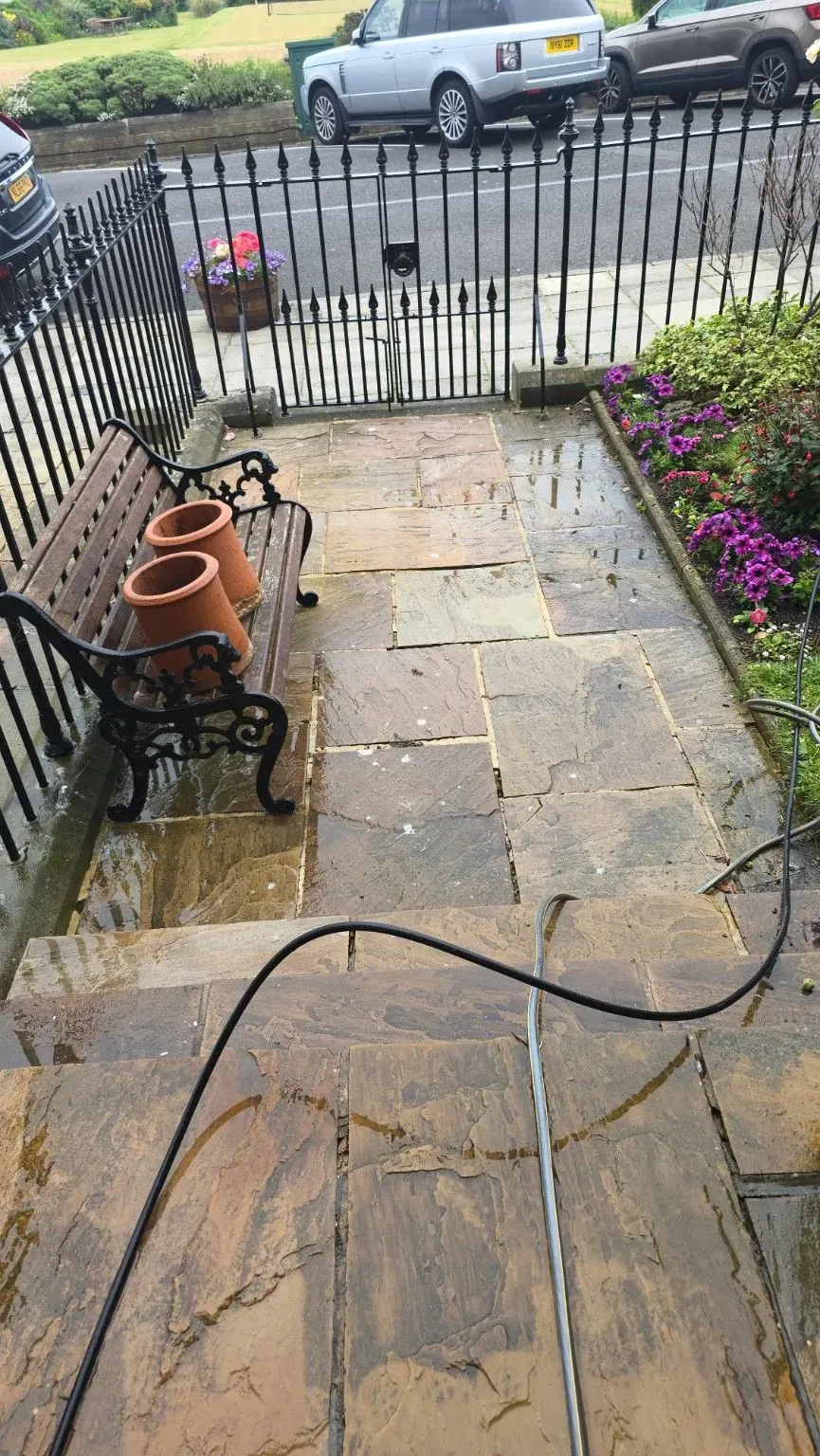 Patio and Driveway Cleaning
