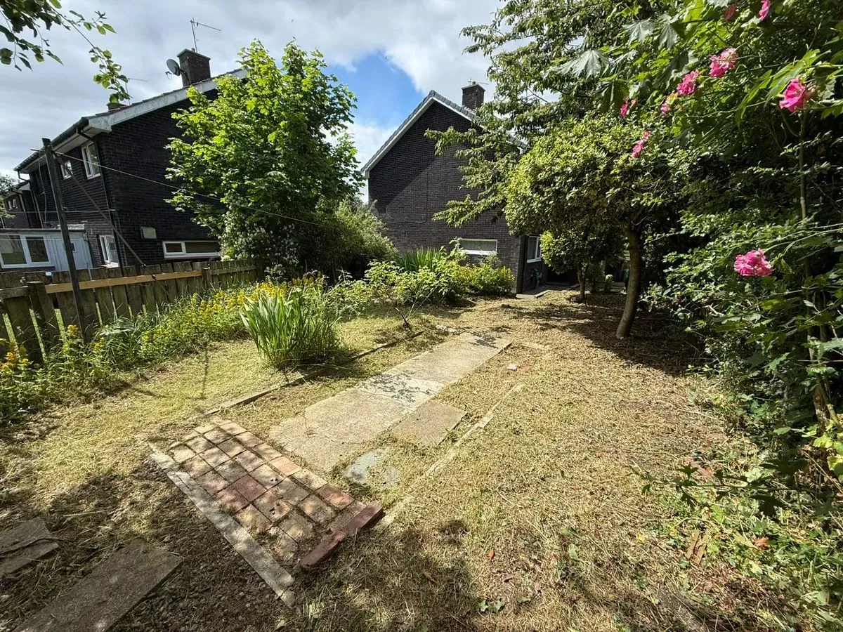 Gallery image 11