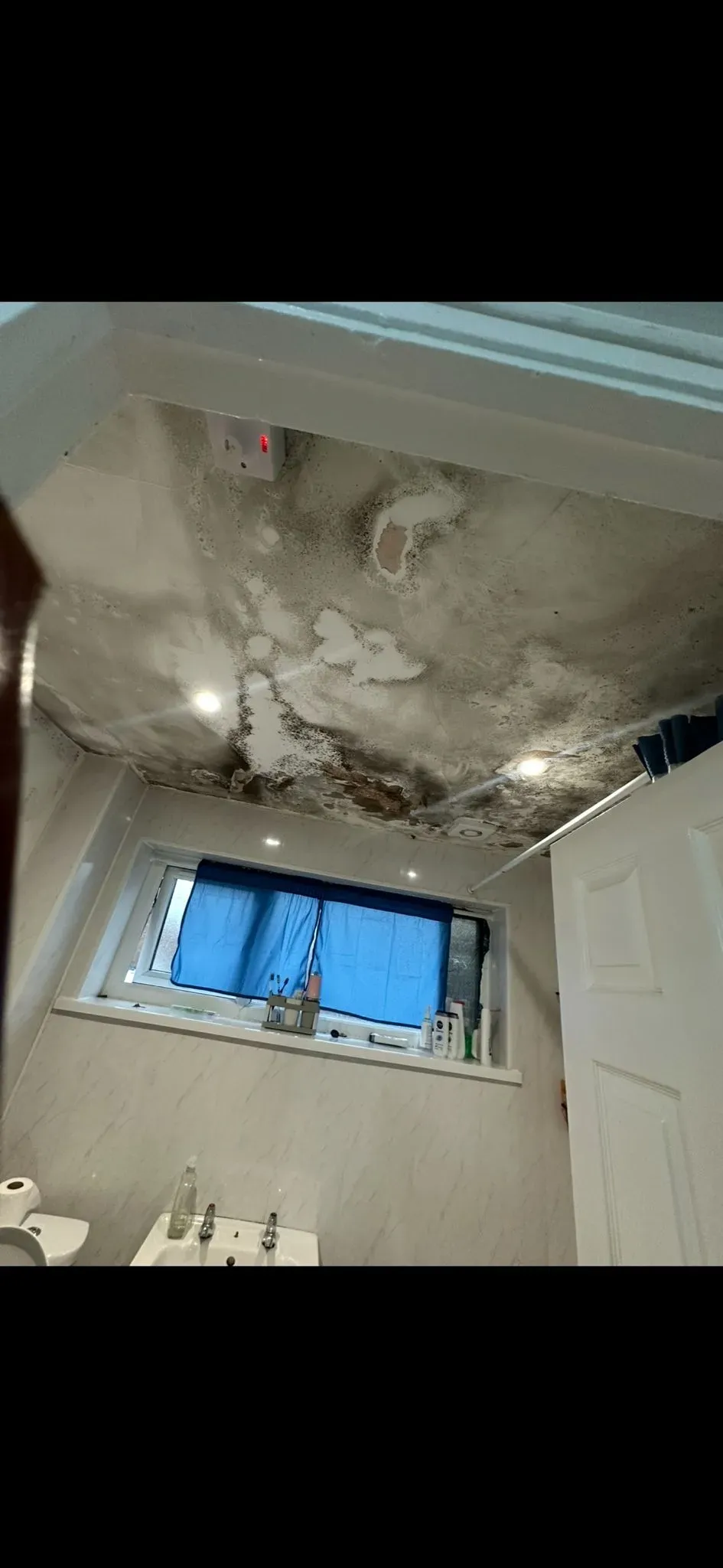 Mould Removal Services image background image